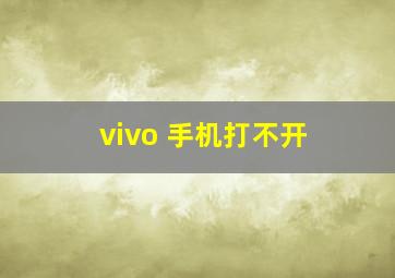 vivo 手机打不开